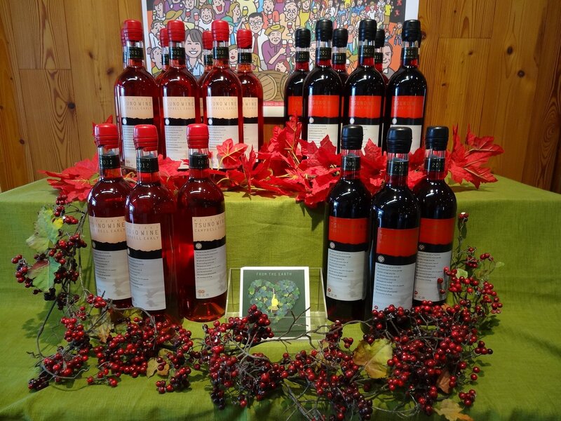 Wine bottles on display