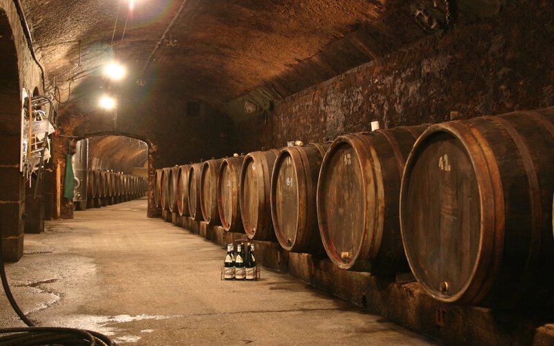 Wine cellar with barrels