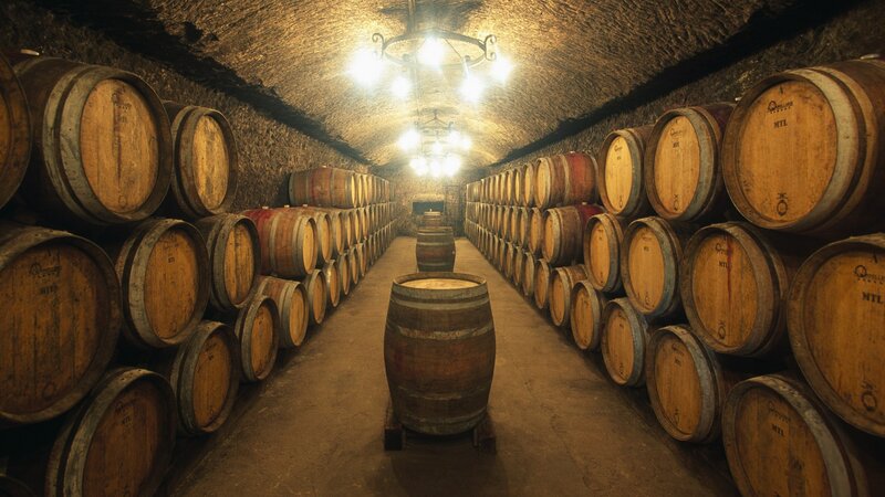 Wine cellar with barrels