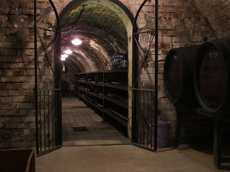 wine cellar with barrels