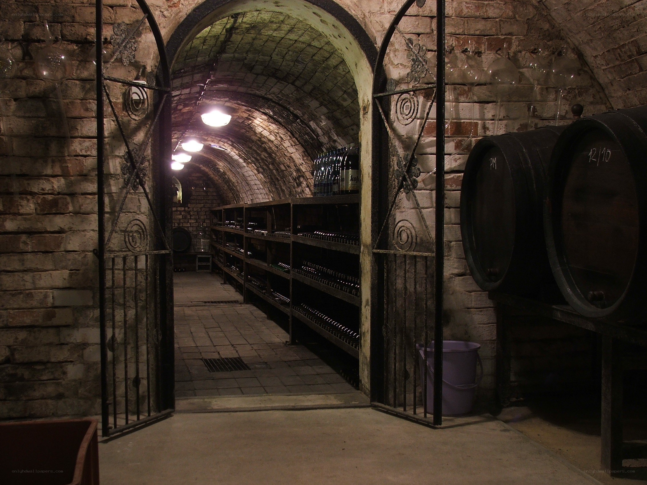 wine cellar with barrels