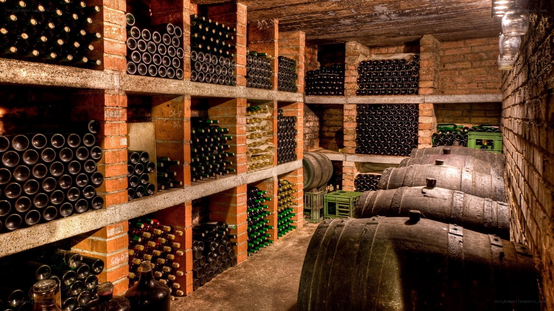 Wine cellar with barrels and bottles