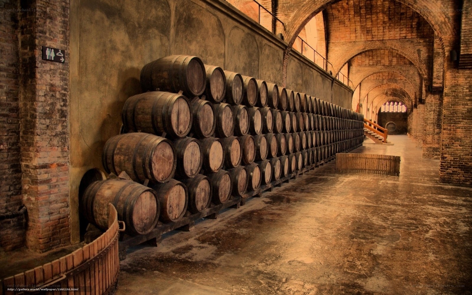 wine cellar with barrels