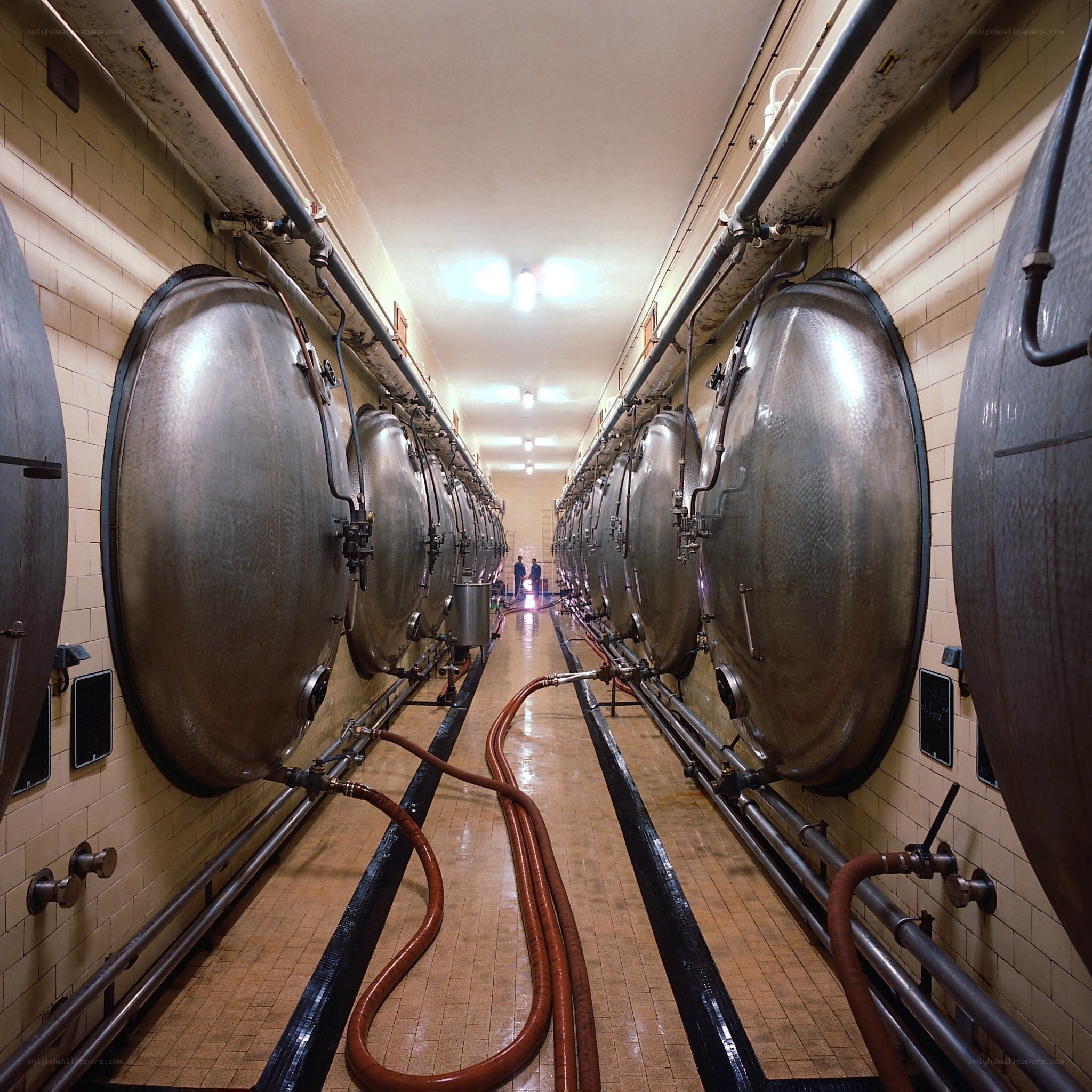 Wine fermentation tanks in cellar