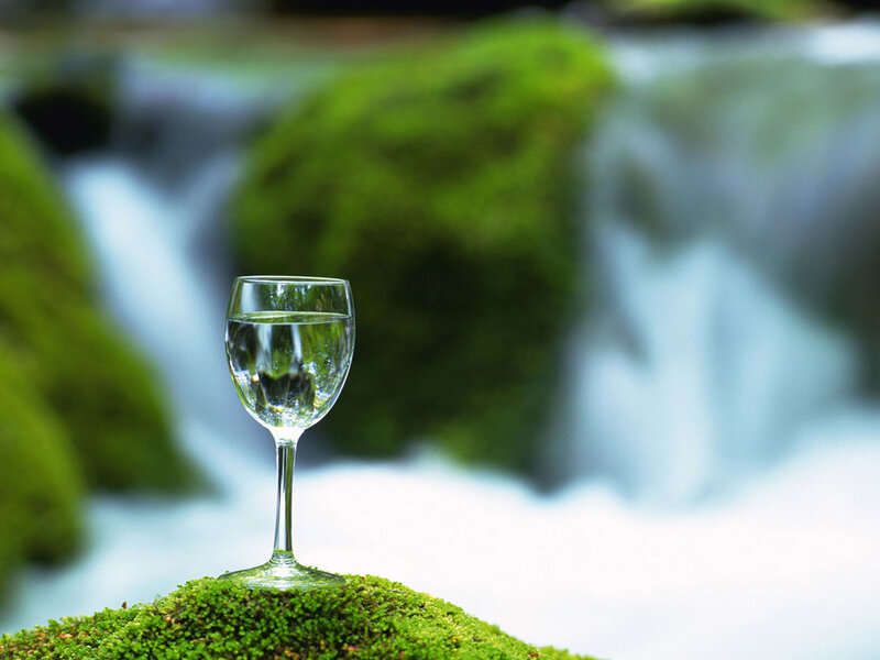 Wine Glass on Moss