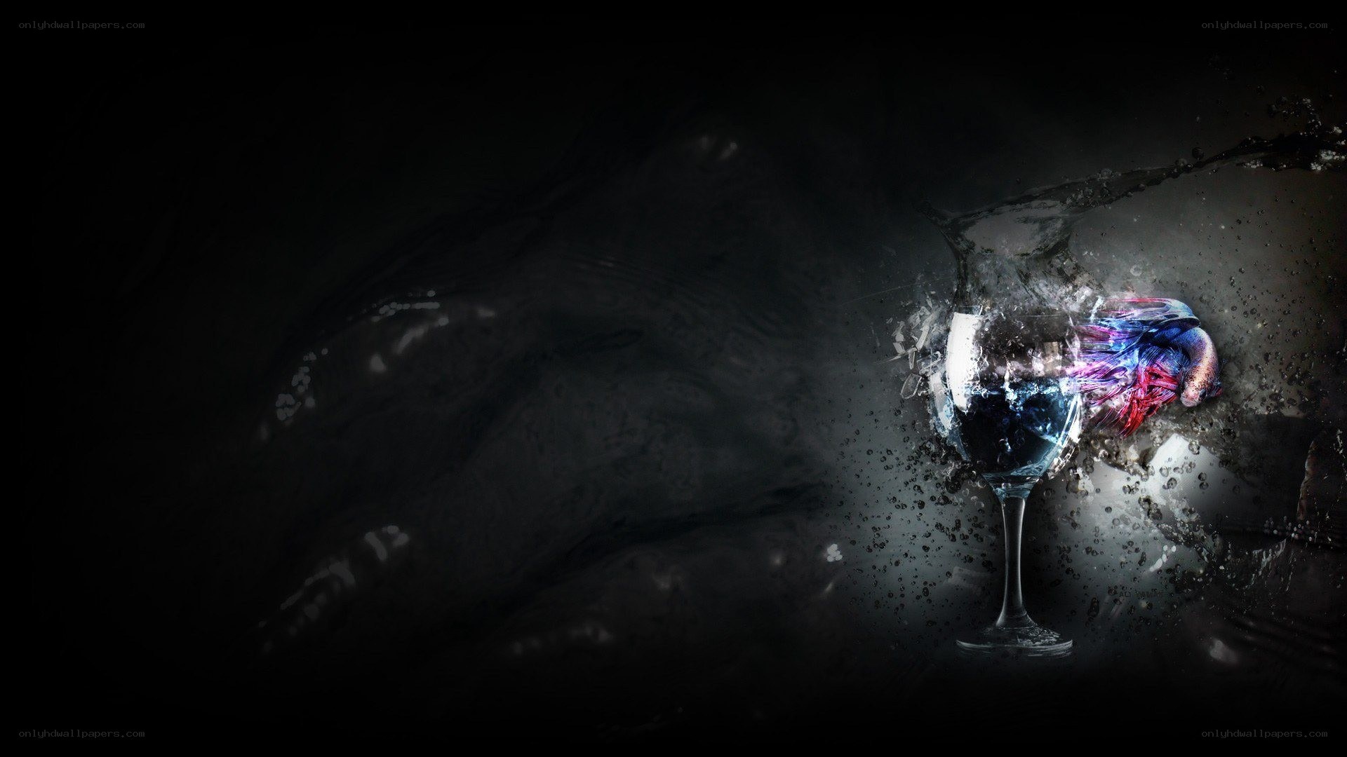 wine glass splashing water