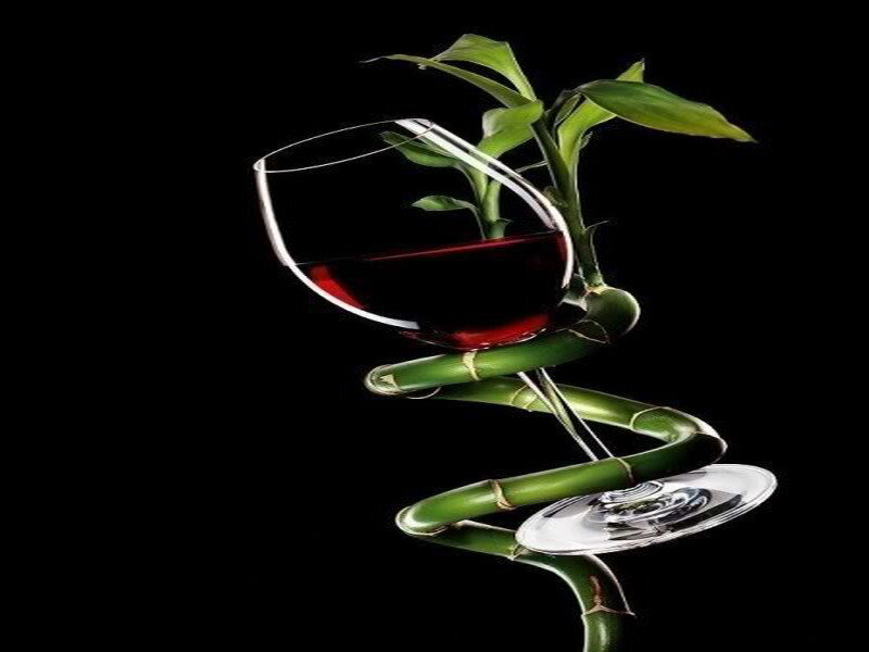 wine glass with bamboo plant