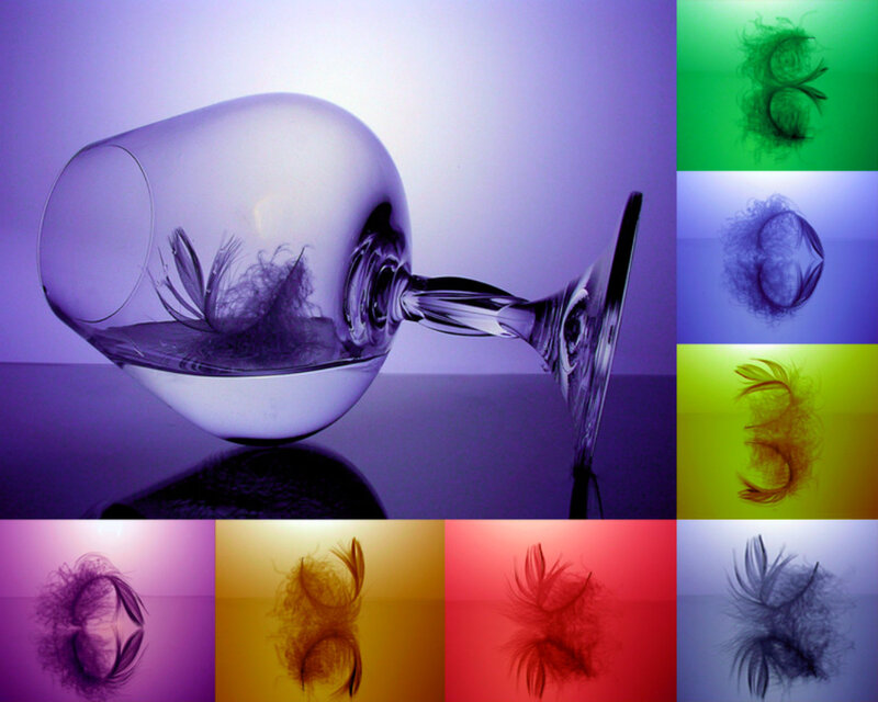 Wine Glass with Feather