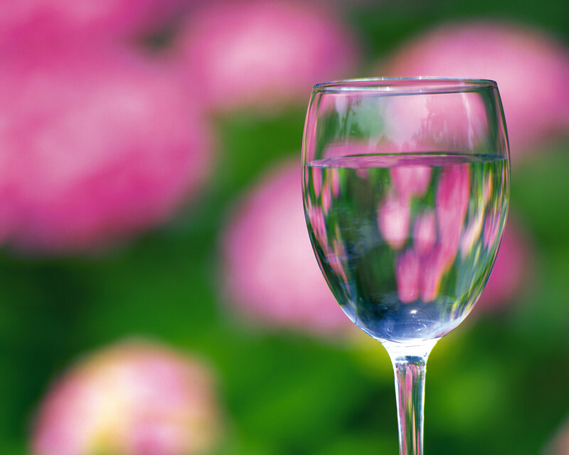 Wine Glass with Water — Pink