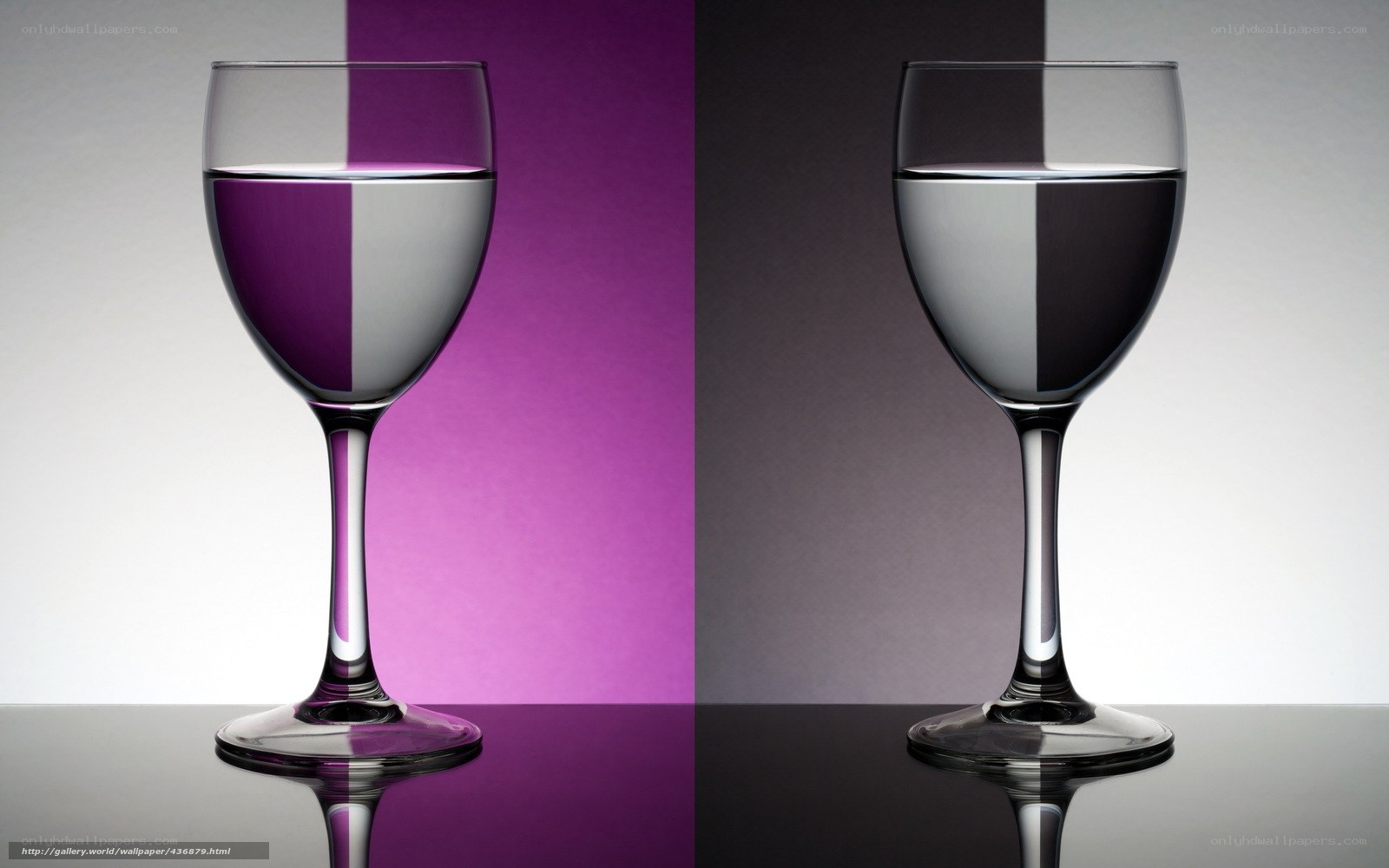 wine glass with water