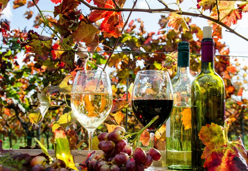 Wine Glasses and Grapes — Red