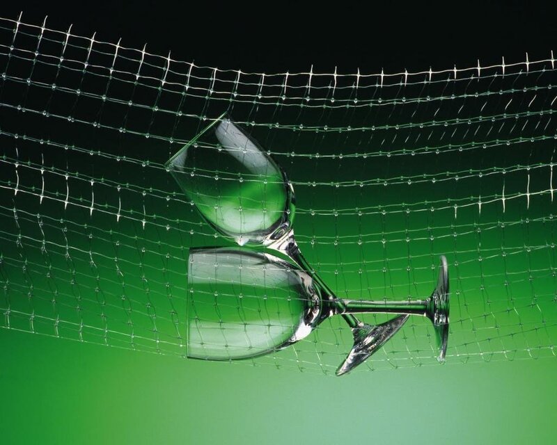 Wine glasses behind a net