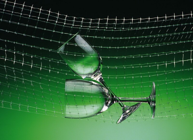 wine glasses behind net