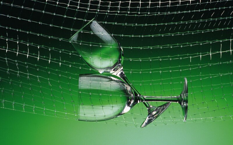 wine glasses behind net