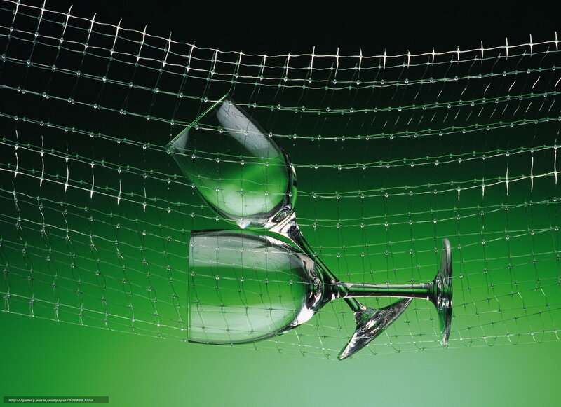wine glasses behind net