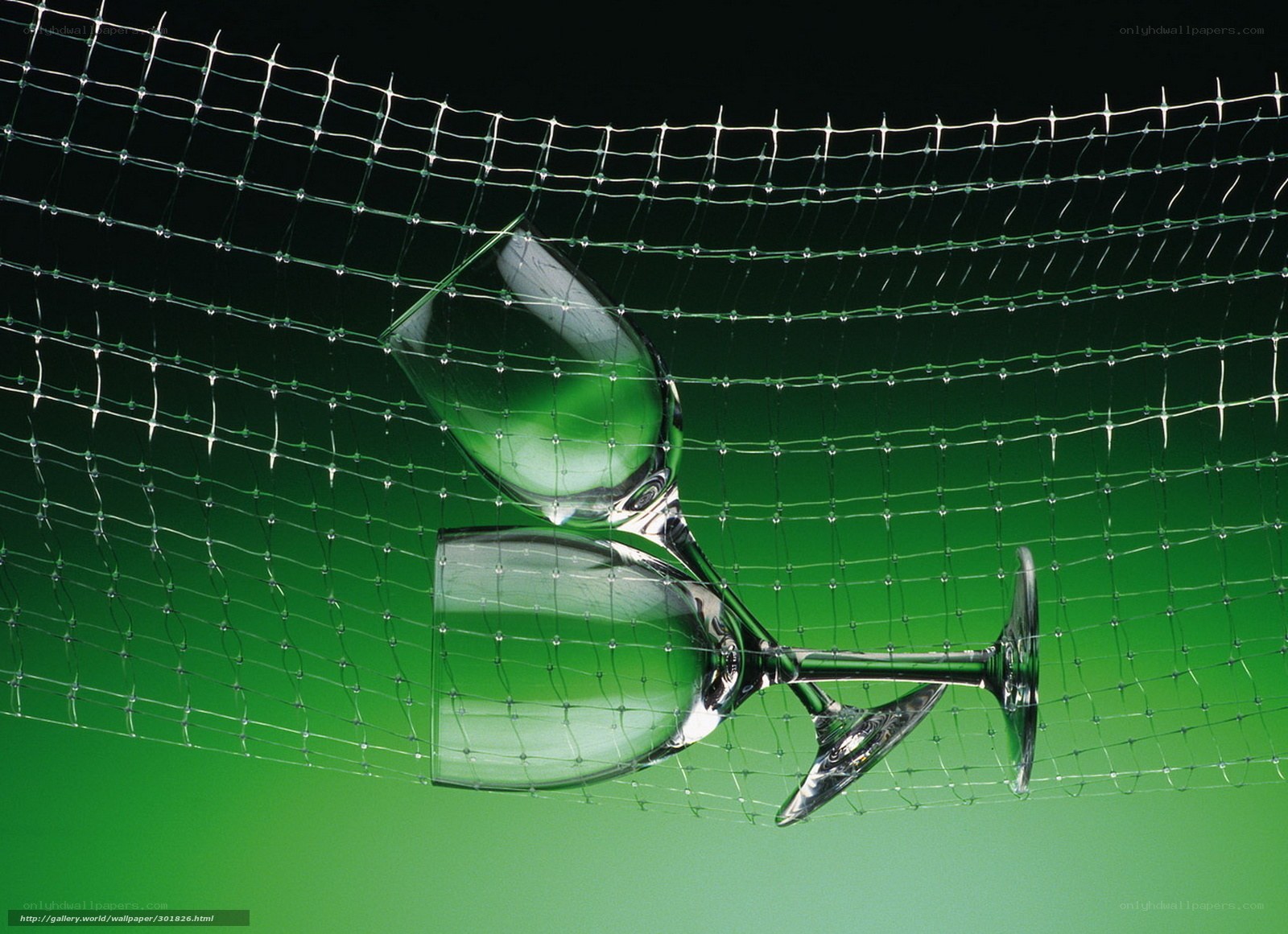 wine glasses behind net