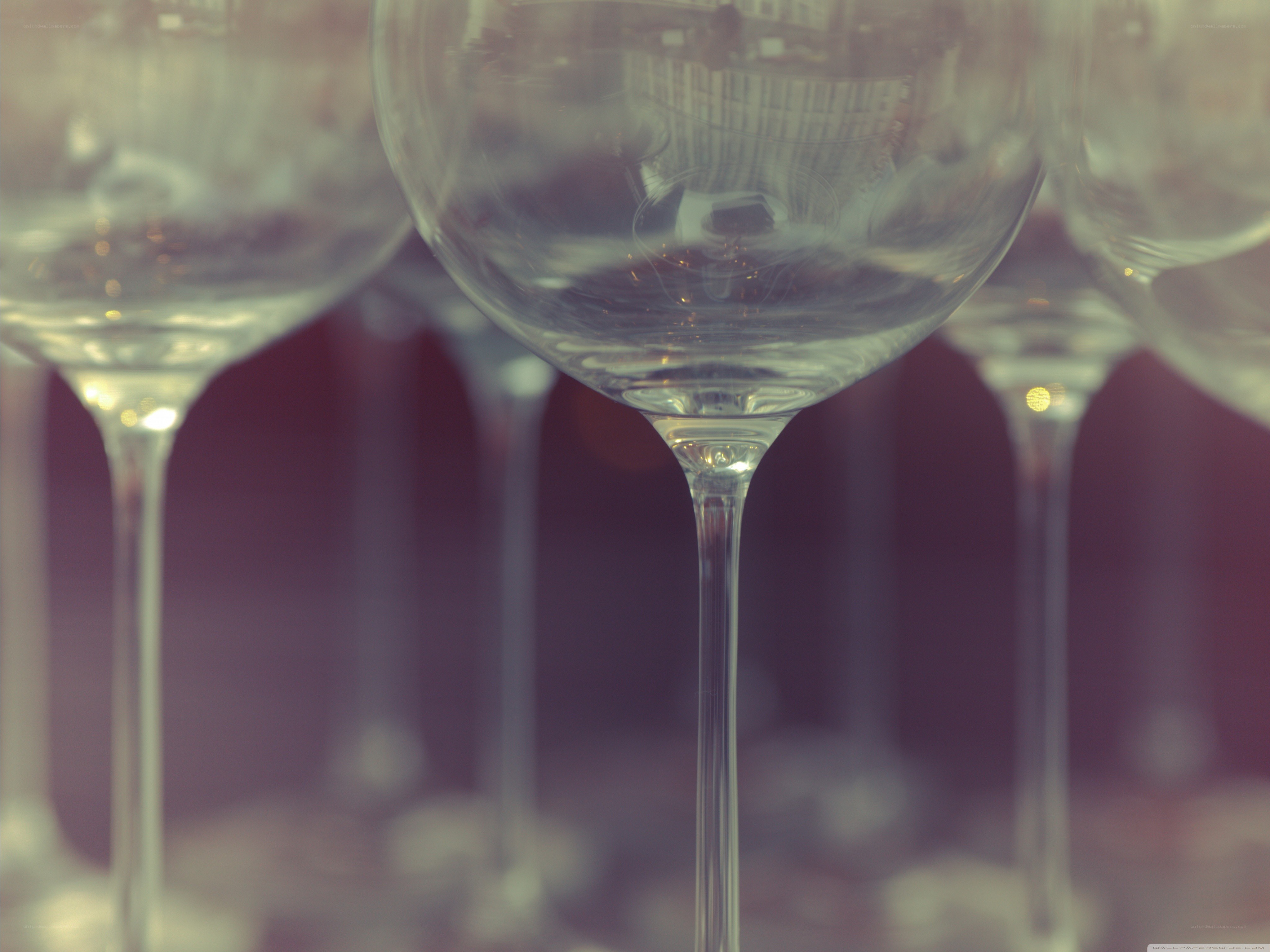 wine glasses in a row