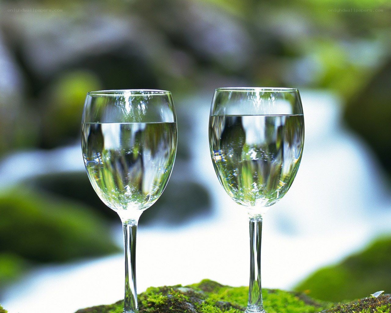 Wine glasses on mossy rocks