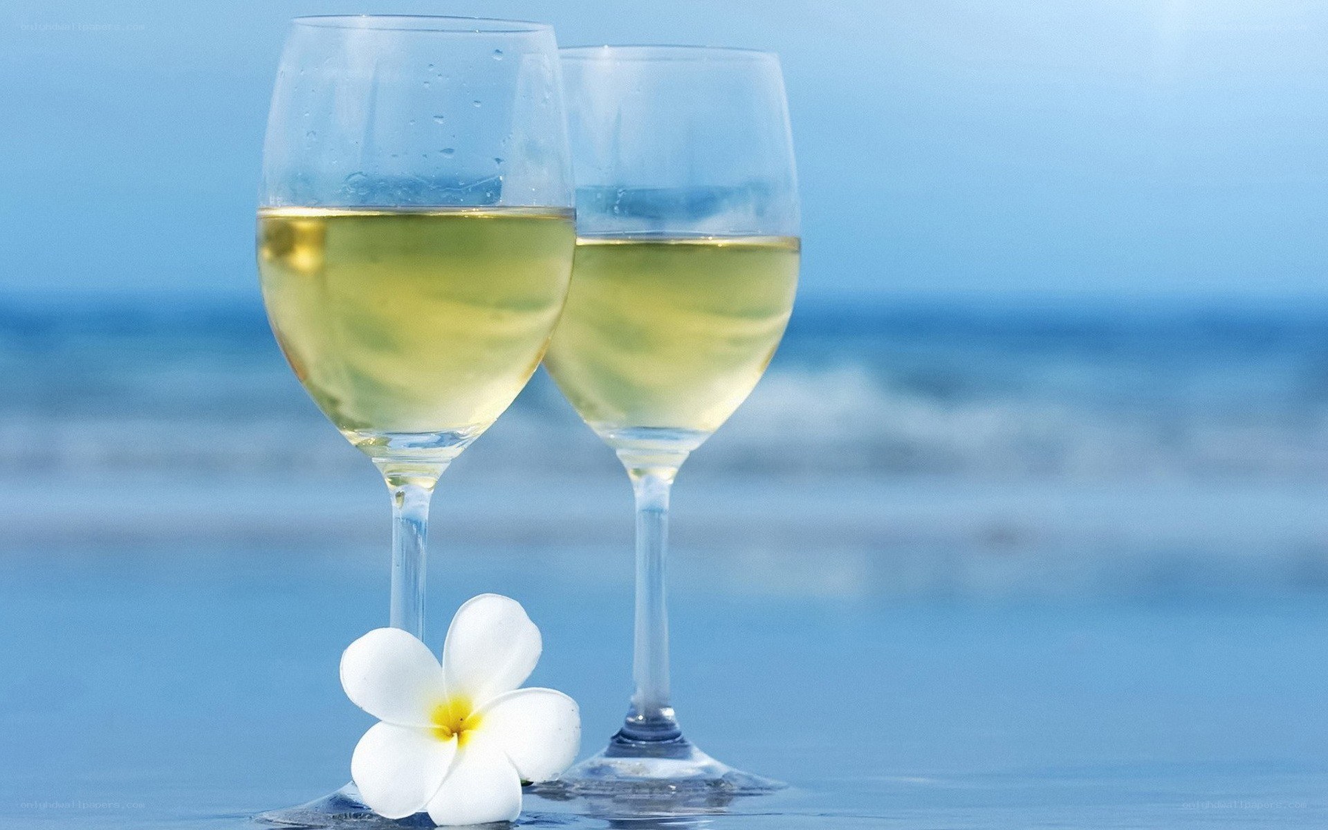 Wine glasses on the beach