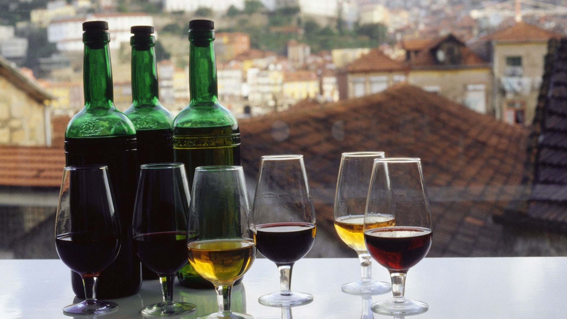wine tasting with city view
