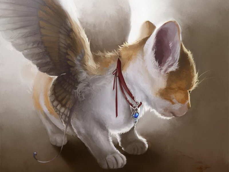 Winged Cat with Collar