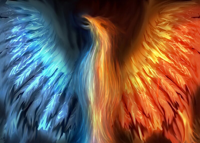 Winged Creature
