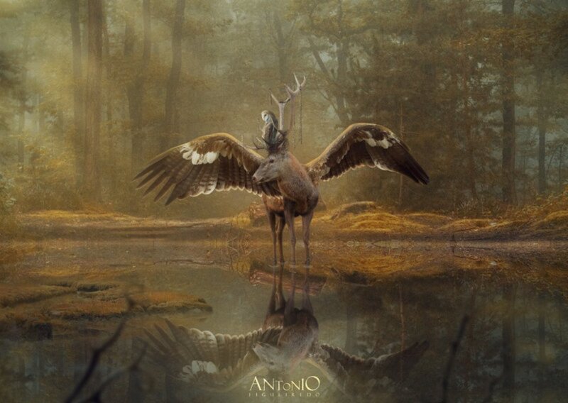 Winged Deer in Forest