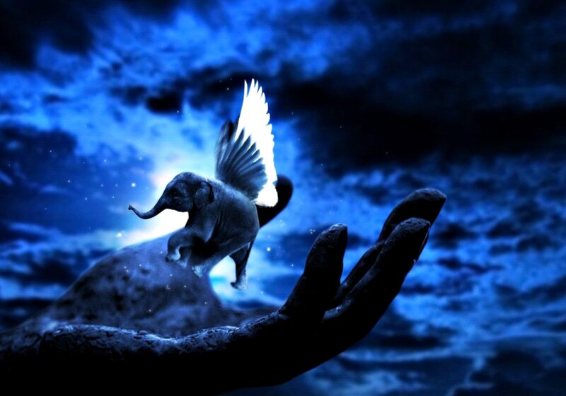 Winged Elephant Flying