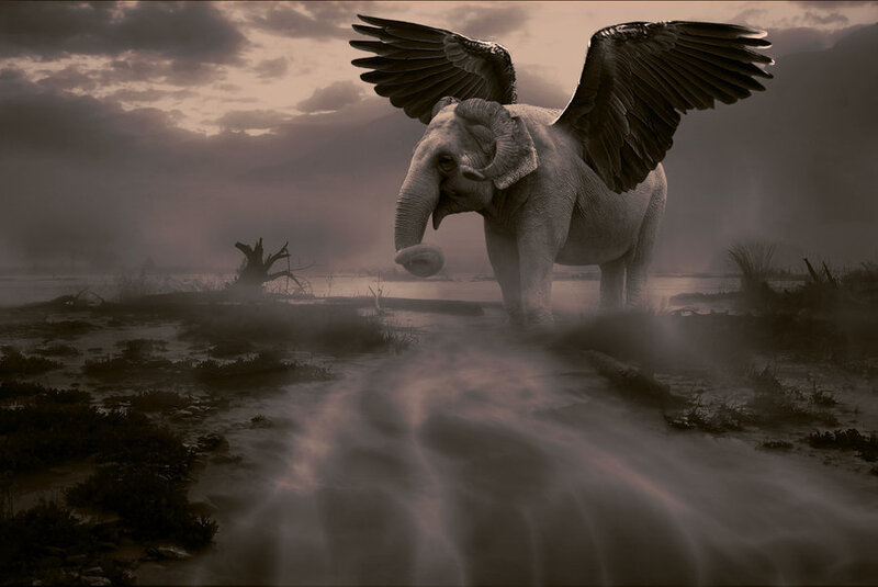 winged elephant in misty landscape