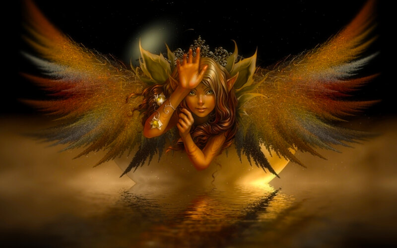 Winged Elf Woman
