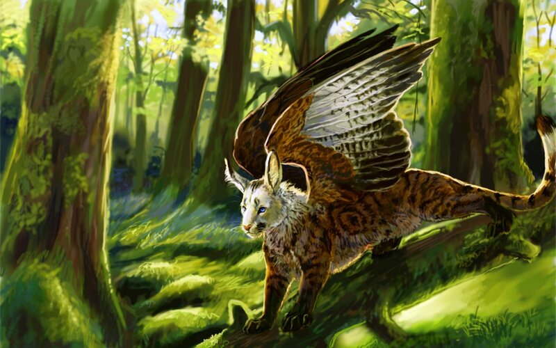 Winged Feline Creature