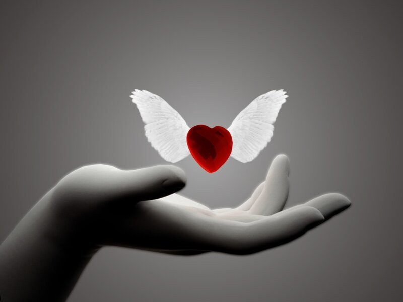 Winged Heart Above Hand — Gray, Serene