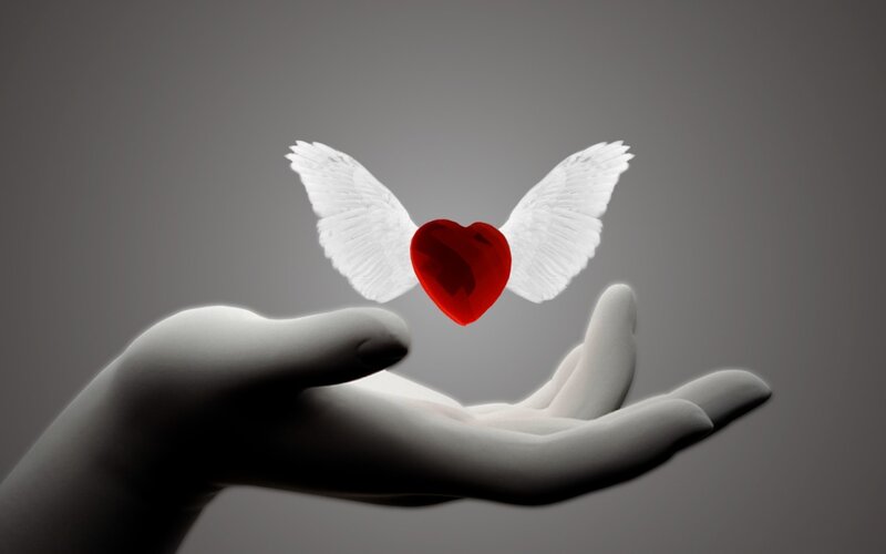 Winged Heart Above Hand — Gray
