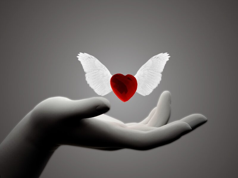 winged heart in hand