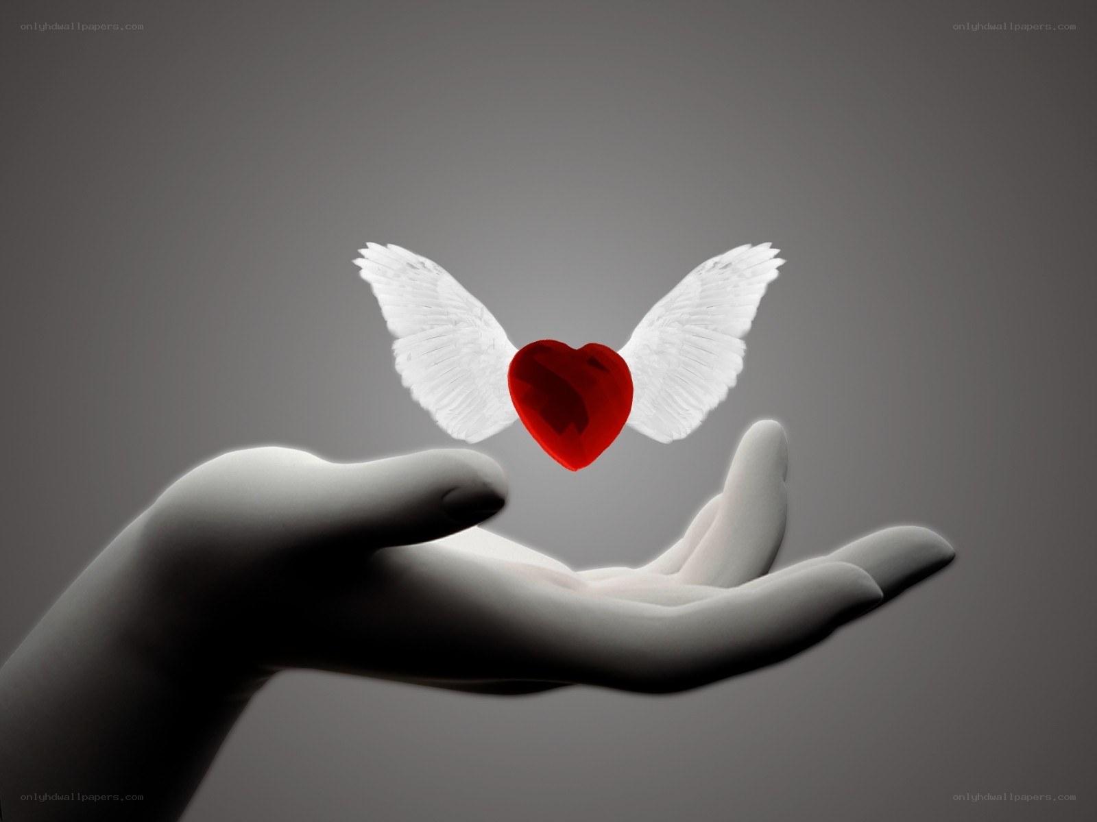 winged heart in hand