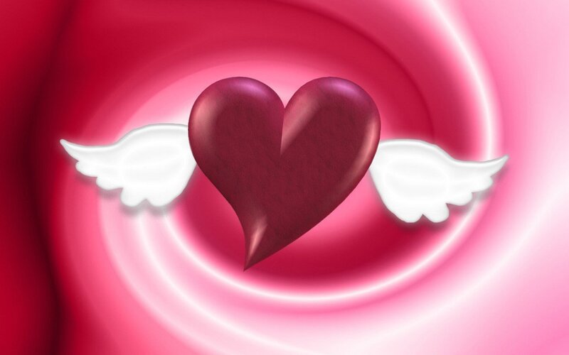 winged heart on pink background