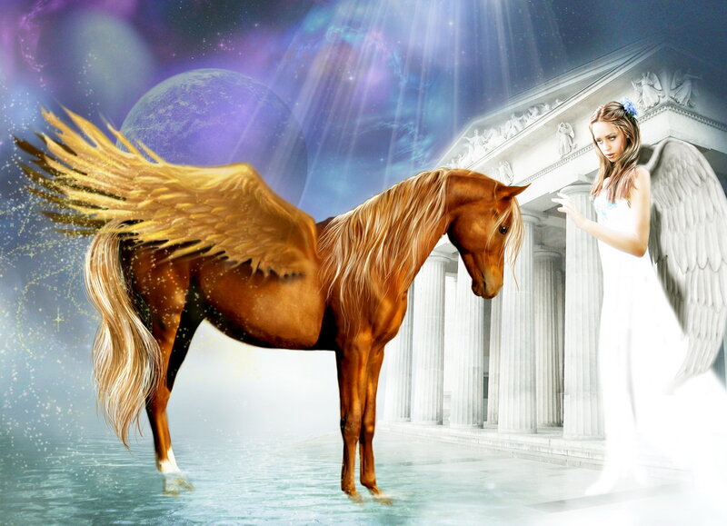 Winged Horse and Angel — White