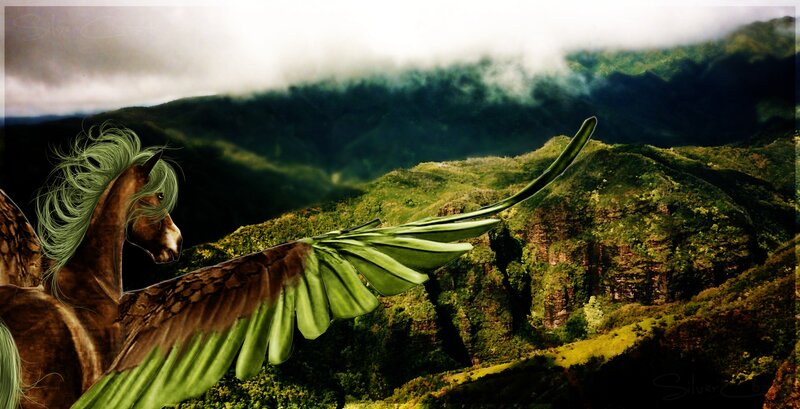 Winged Horse Flying