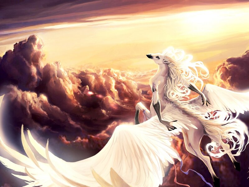 Winged Horse in Clouds