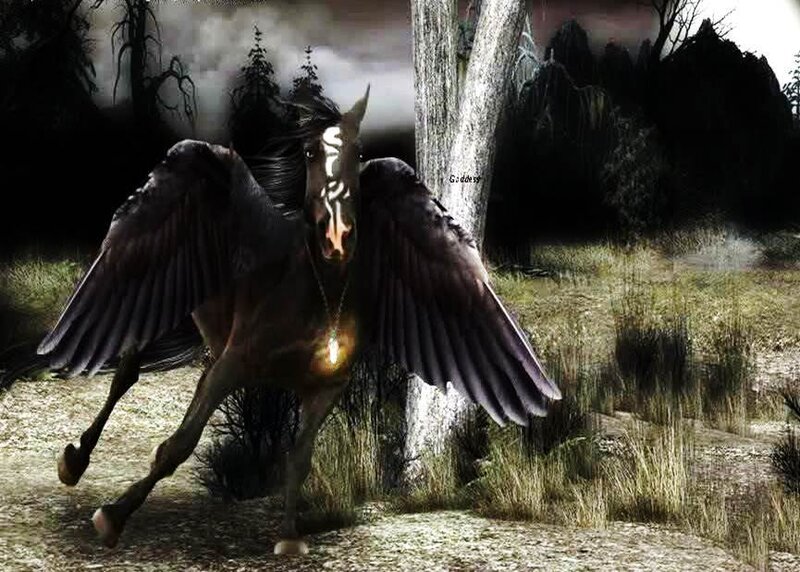 Winged Horse in Forest — Black