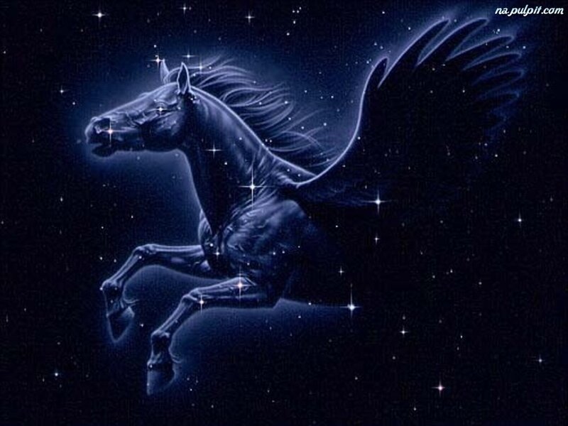 Winged Horse in Space — Blue