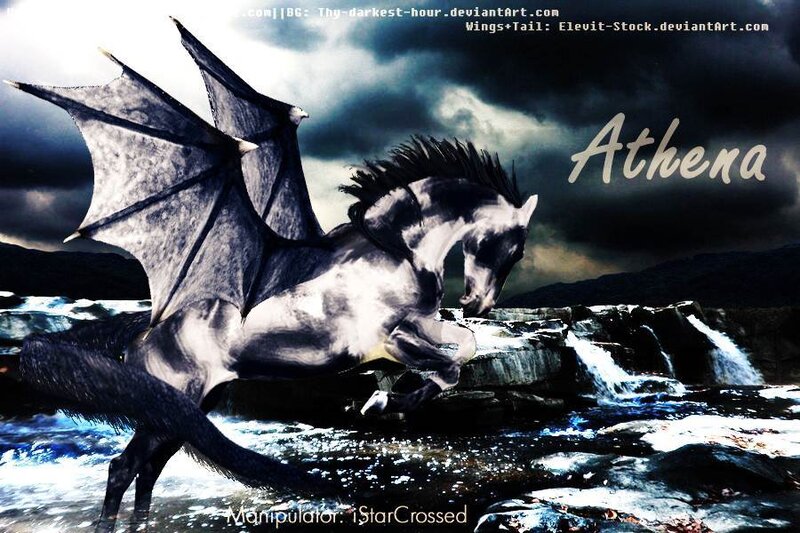 Winged Horse in Water