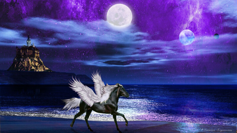 Winged Horse on Beach