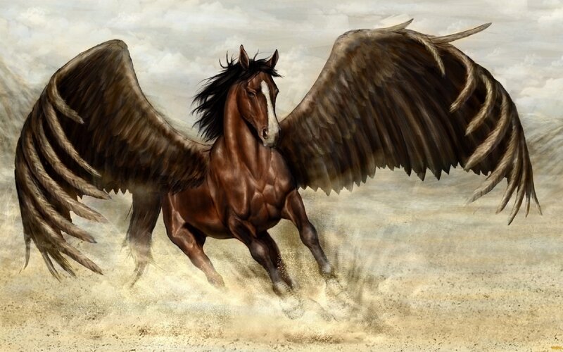 Winged Horse Running