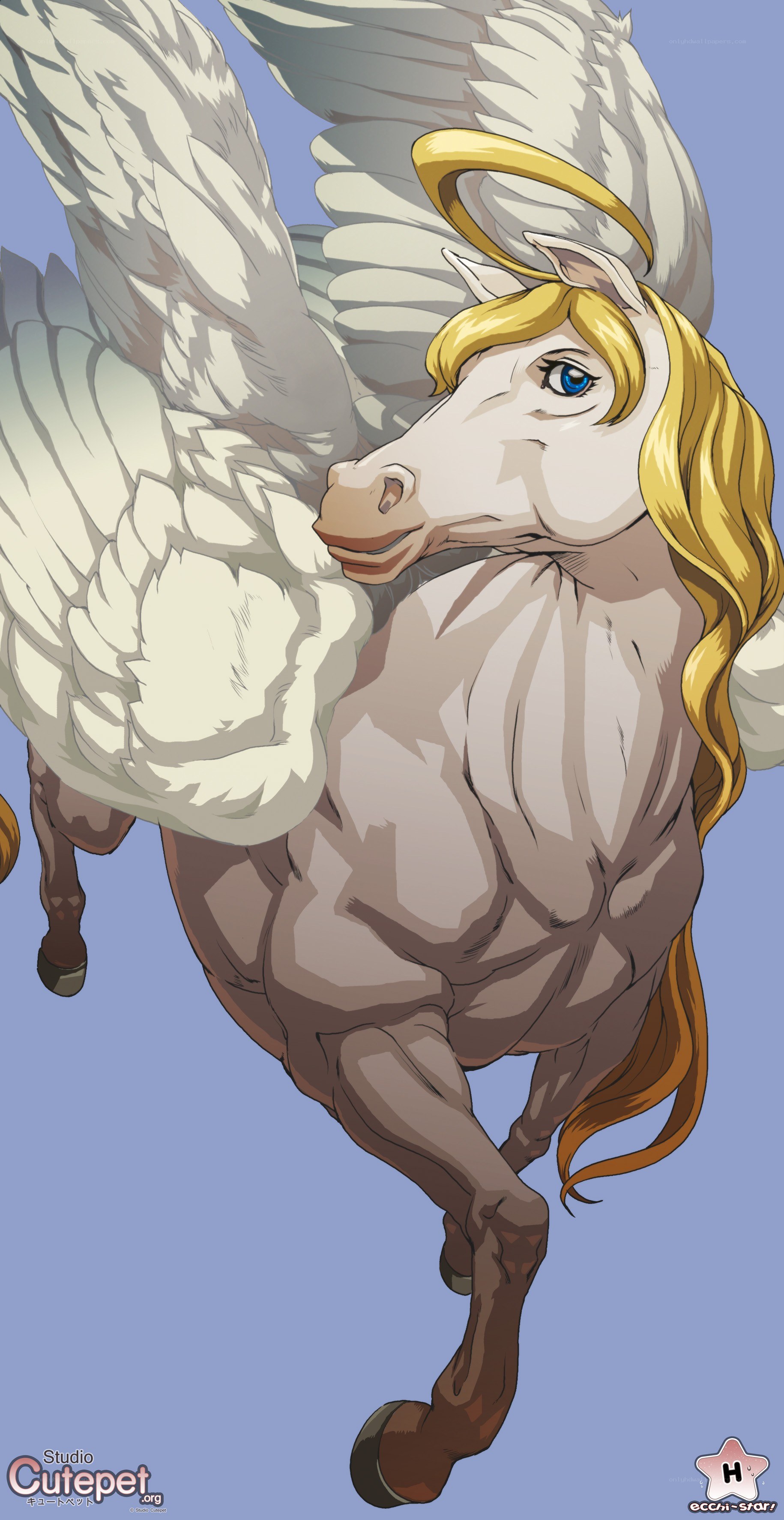 winged horse with halo