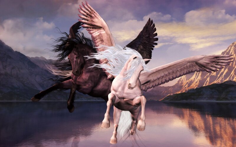 Winged Horses Flying