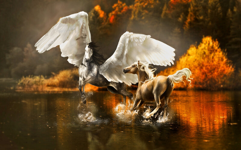 Winged Horses in Water