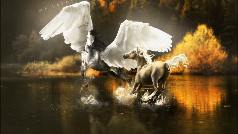 Winged Horses in Water — White, Dramatic