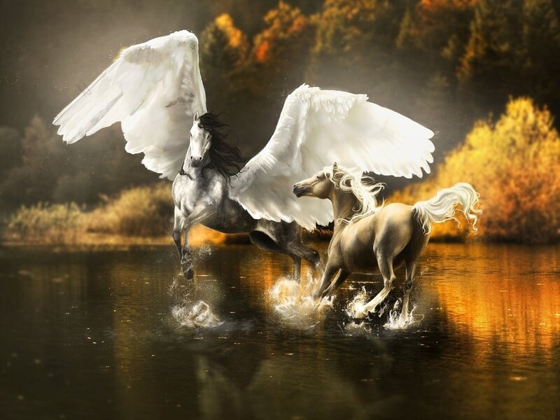 Winged Horses in Water — White