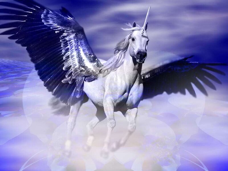 Winged Unicorn Horse